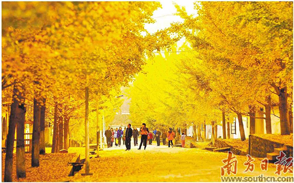 圖.jpg