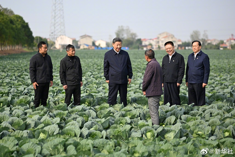 圖5.jpg