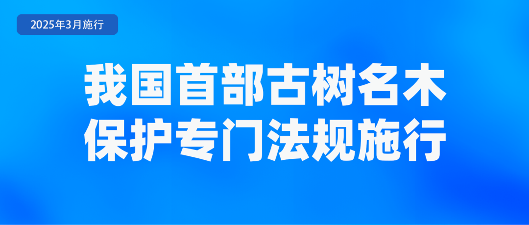 圖3.png