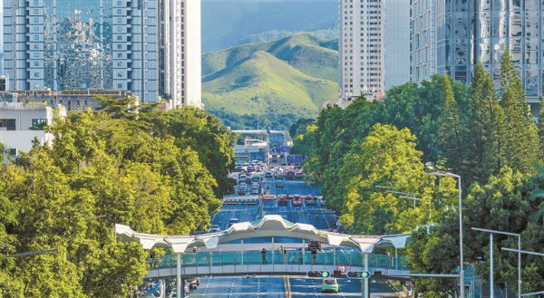 樓外青山.jpg